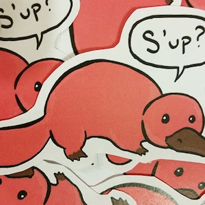 Platypus sticker What's up? Die cut vinyl sticker