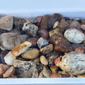 3 lbs of Rough Rocks for Tumbling • Jasper • Quartz • Agates • Chert