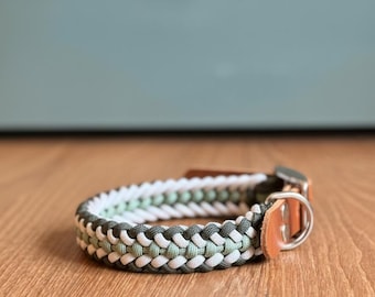 Collare per cani in paracord fatto a mano “Karlsson” | design minimalista| resistente| chiusura in biothane/pelle| cani piccoli a grandi