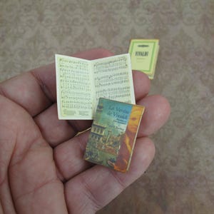 Può includere: Un piccolo libro giallo con il titolo "Le Vivente de Vivaldi" sulla copertina. Il libro è aperto a una pagina con un'immagine di un gruppo di persone in un edificio. Il libro è appoggiato sulla mano di una persona.