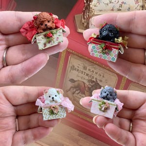 Puede incluir: Figuras de perros en miniatura en cajas decorativas. Los perros son marrones, negros, blancos y grises. Cada perro está en una pequeña caja con diseños florales y estampados, acentuados con papel de seda rojo y rosa.