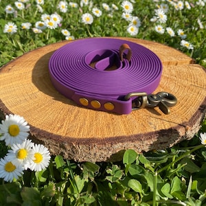 May include: A purple waterproof dog leash coiled in a circular shape, featuring a brass-toned metal swivel snap hook, three gold-colored rivets, and a small brown leather-like accent loop at the center of the coil for secure handling.