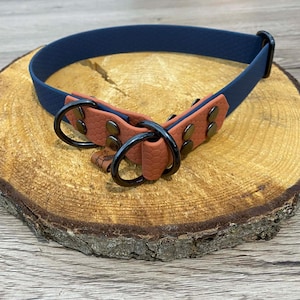 Op de afbeelding: Een marineblauwe hondenhalsband met een roestkleurig middengedeelte. De halsband heeft zwarte metalen hardware, waaronder een D-ring en klinknagels. De halsband wordt gepresenteerd op een houten schijf.