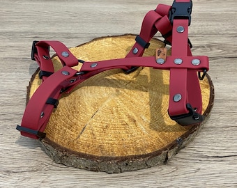 Harnais uni "Rio" type BioThane/TPU boucles plastique personnalisable