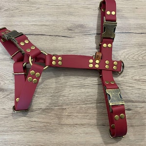 Pettorina "Scarlett" liscia, tipo BioThane/TPU, fibbie metalliche personalizzabili.