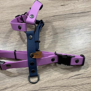 Può includere: Una pettorina per animali domestici con una combinazione di cinghie color lavanda e blu scuro. La pettorina include fibbie in plastica nera, anelli a D in metallo scuro e rivetti in metallo scuro. È presente una piccola etichetta marrone con logo.