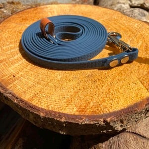 Op de afbeelding: Een blauwe hondenriem met een gestructureerd honingraatpatroon, voorzien van een zilverkleurige metalen musketonhaak en een bruin lederen accent bij het handvat. De riem is in een cirkelvorm opgerold, wat het duurzame materiaal en de hardware toont.