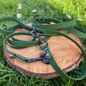 May include: A green dog leash and collar set with black metal hardware. The leash is coiled on a wooden slice, surrounded by green grass and small white flowers. The set includes a collar and a long leash.