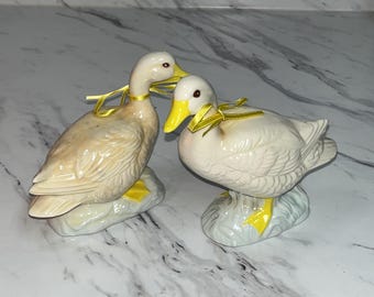 Pair of ceramic ducks