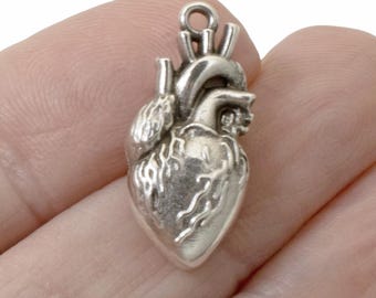 Anatomical Heart Pendants, 2-Pack Sterling Silver Plated European Charms, Medical Jewelry, Science Gift, Gothic Style