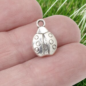 Antique Silver Ladybug Charms 10-Pack, Double-Sided Good Luck Charms, Nature-Inspired Jewelry Supplies, Garden Theme Craft Components
