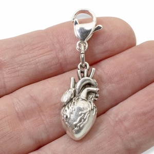 Anatomical Heart Clip-On Charm, Medical Gift, Sterling Silver Plated European Charm, Science Teacher Nursing Gift, Gothic Accessories