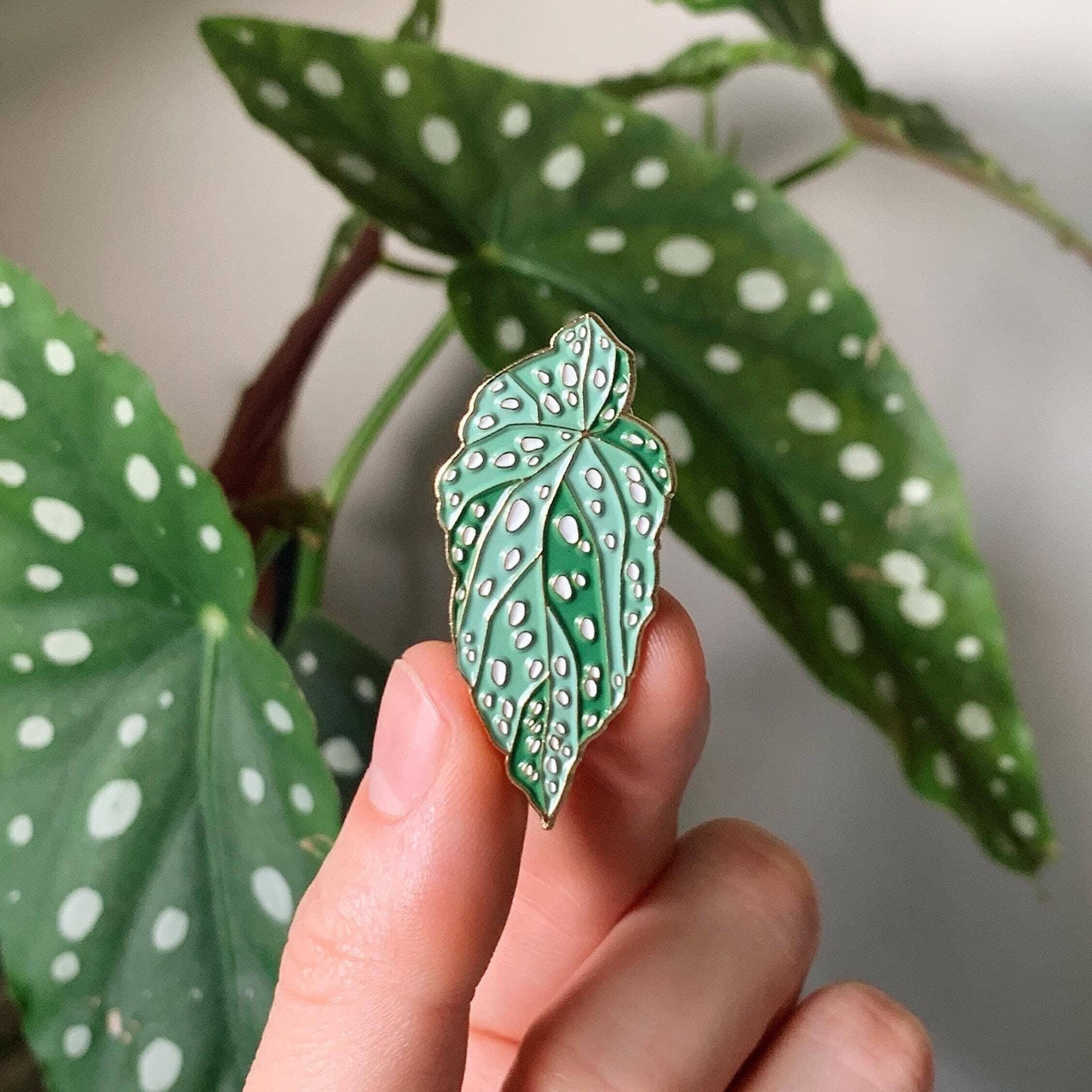 Begonia Maculata Enamel Pin | Houseplant Badge With Anti-spin Gold Base ...