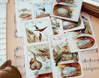 Cartes d'oiseaux anciennes françaises : éphémères pour journaux indésirables (kit numérique)