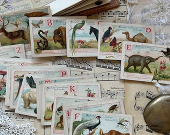 Cartes d'animaux vintage françaises alphabet : Junk Journal Ephemera (téléchargement numérique)