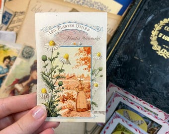 Cartes florales anciennes françaises : kit d'éphémères vintage (téléchargement numérique)
