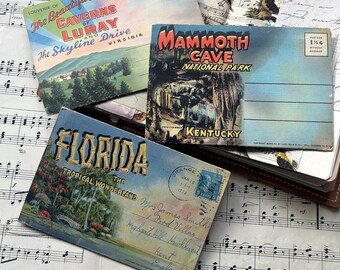 Cartes postales souvenirs vintage des années 40 : photographies de la Virginie, du Kentucky, de la Floride, du journal éphémère