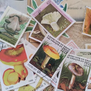 Sellos de hongos. Sellos postales usados de hongos. Sellos usados. Coleccionismo de sellos. Efímeras de revistas basura. Otoño, hongo venenoso, hongo, franqueo