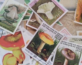 Jeu de 20 timbres-poste représentant des champignons d'occasion, éphémères