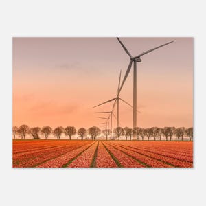 Op de afbeelding: Landschapsfoto met een veld rode bloemen, rijen bomen en windturbines onder een oranje lucht. De scène roept een gevoel van rust op en toont hernieuwbare energiebronnen.