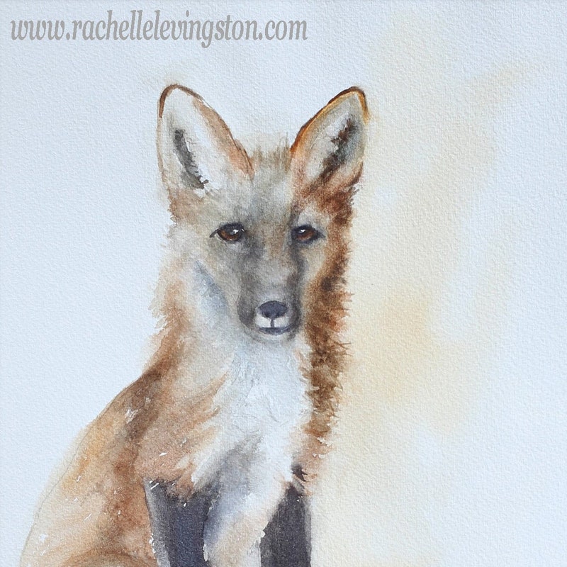 Rachelle Baby Of - Etsy