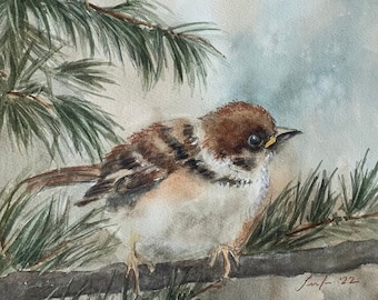 Original sparrow painting in watercolor ORIGINAL painting of sparrow-Winter bird pine tree