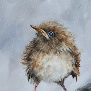 Cute Baby bird Art PRINT Baby bird PAINTING Baby Wren in watercolor- Watercolor painting of Baby bird - Grandma Chic art PRINT