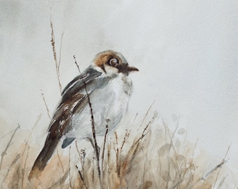 Sparrow Watercolor Art Print Set: Brown Neutral Bird Paintings