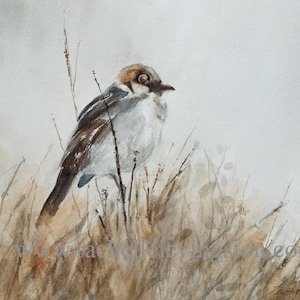 SET of TWO Watercolor Bird art print SET of two bird Paintings in Watercolor Sparrow Paintings Watercolor art print Brown Neutral minimalist