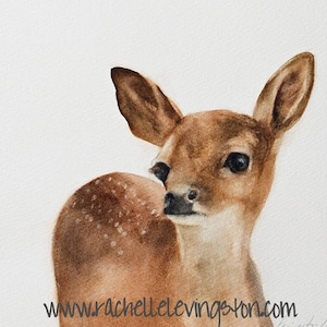 Watercolor deer painting of deer painting. Fawn print Baby deer WOODLAND nursery art PRINT for nursery peek a boo animal PRINT baby deer image 1