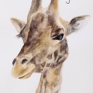 giraffe art print giraffe painting art print for nursery peek a boo animal print kids wall art SEE PHOTOS for all ANIMALS image 1