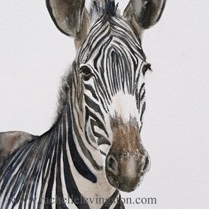 ORIGINAL Painting watercolor painting original WATERCOLOR painting watercolor zebra painting zebra painting art nursery art print of zebra image 1