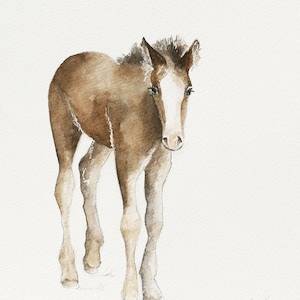 Colt Painting of horse painting Brown Horse PRINT Watercolor painting of colt Western Home Decor Nursery image 1