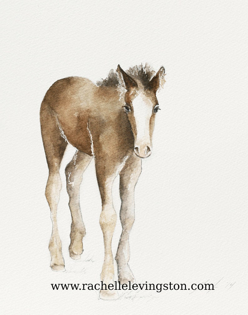Colt Painting of horse painting Brown Horse PRINT Watercolor painting of colt Western Home Decor Nursery image 1
