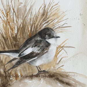 Painting of Flycatcher-Painting Watercolor bird painting- Watercolor bird illustration- Bird vintage painting- Bird wall art PRINT