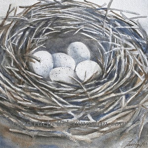 May include: A watercolor painting of a bird's nest made of twigs with five white eggs inside.