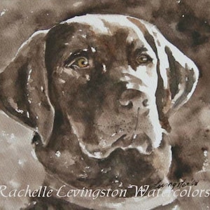 Chocolate lab PRINT of chocolate lab- Painting Lab art print- Dog Print- Dog art- Print of chocolate labrador- watercolor dog painting