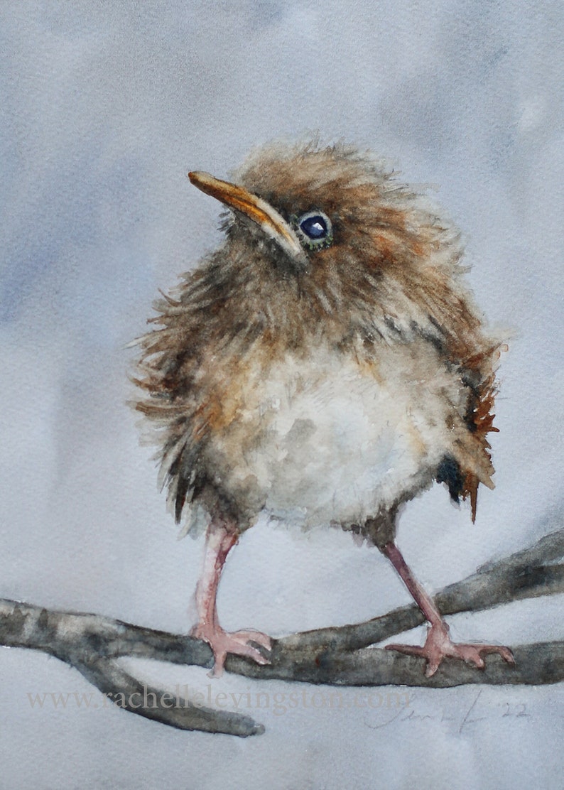 Baby bird Art PRINT Baby bird Painting Baby Wren in watercolor painting of baby Bird PRINT art Grandma Chic bird image 1