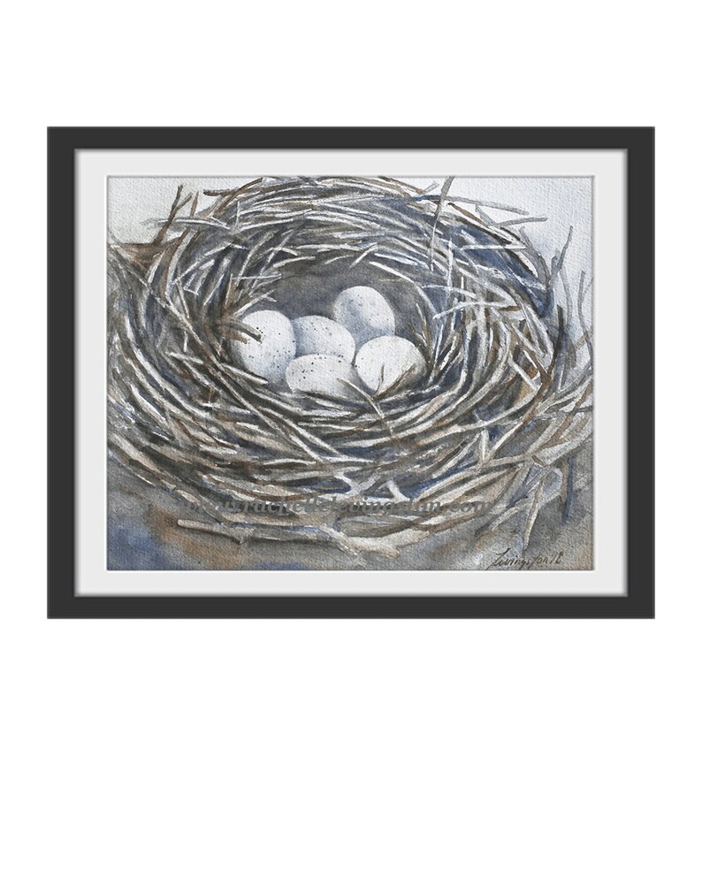 May include: A watercolor painting of a bird's nest made of twigs with five white eggs inside.