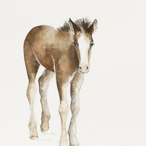 for him colt painting of colt painting colt PRINT western Home Decor western baby horse wall hanging Watercolor painting western decor