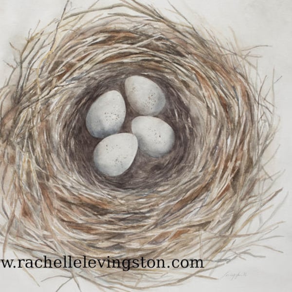 Mothers Day Gift of Bird Nest Painting in Watercolor NEST PRINT with eggs, SPRING wall art room, gray mom gift 4 egg nest painting