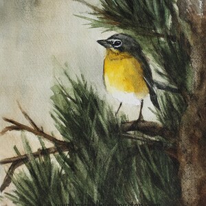 Yellow bird Painting Watercolor painting of yellow bird. Watercolor bird painting BIRD Watercolor Art PRINT Chat bird painting watercolour