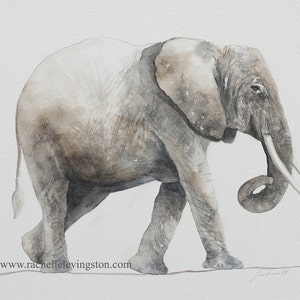 Baby elephant painting Elephant PRINT set in watercolor Mother elephant with baby following Baby elephant art for nursery room decor image 1