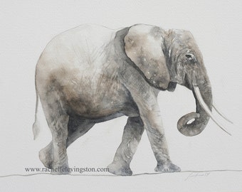 Baby elephant painting- Elephant PRINT set in watercolor- Mother elephant with baby following- Baby elephant art for nursery room decor