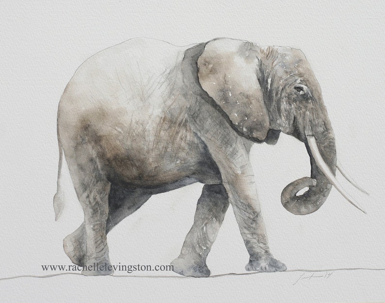 Baby elephant painting Elephant PRINT set in watercolor Mother elephant with baby following Baby elephant art for nursery room decor image 1