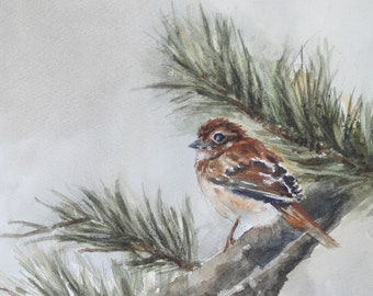 Winter Watercolor Painting of bird in pine tree - Winter Bird Painting of Sparrow- WATERCOLOR Bird PRINT