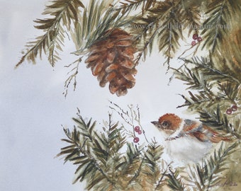 Winter Bird Painting of Sparrow- Winter WATERCOLOR bird ART PRINT- painting of Bird perched in Pine tree pinecone