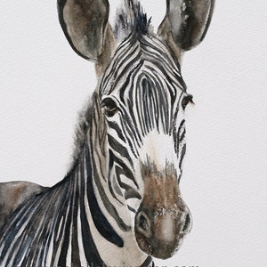 Watercolor Zebra painting. Zebra Nursery art print. Zebra PRINT of Zebra. Art zebra art print. Africa Home Decor. African wall hanging decor