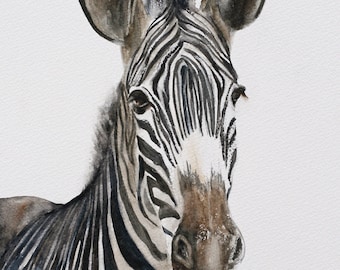 Watercolor Zebra painting. Zebra Nursery art print. Zebra PRINT of Zebra. Art zebra art print. Africa Home Decor. African wall hanging decor