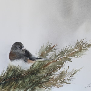 Junco painting in WATERCOLOR Winter Bird PRINT of Dark Eyed Junco perched in pine tree image 1